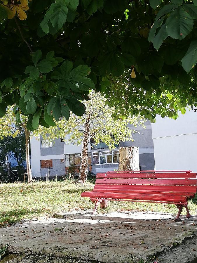 Apartament Langa Castan Azuga Exterior foto
